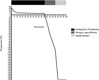 Semen Quality and Freezability Analyses in the Ejaculates of Two Poitou Donkeys in the Southern Hemisphere